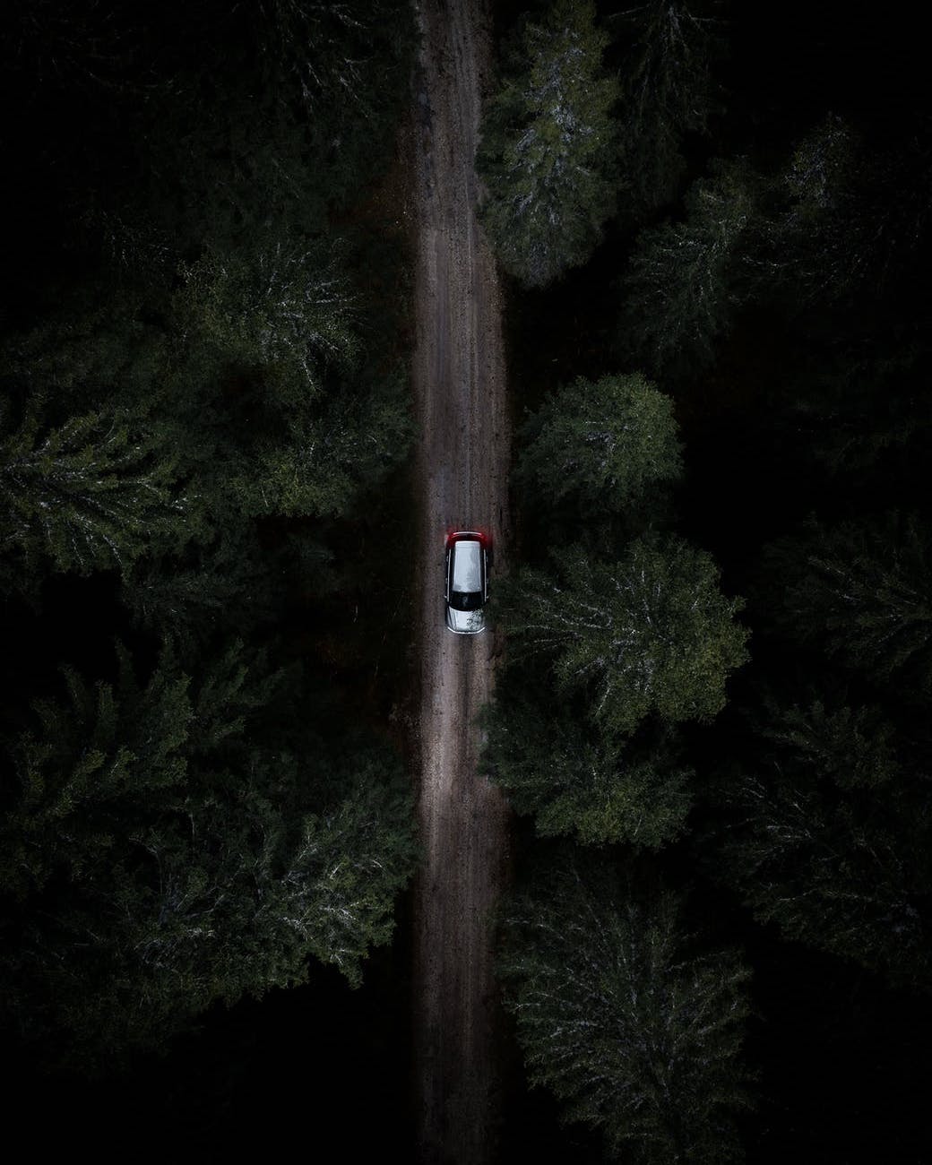 photo from above of white and black car on road at night through green trees