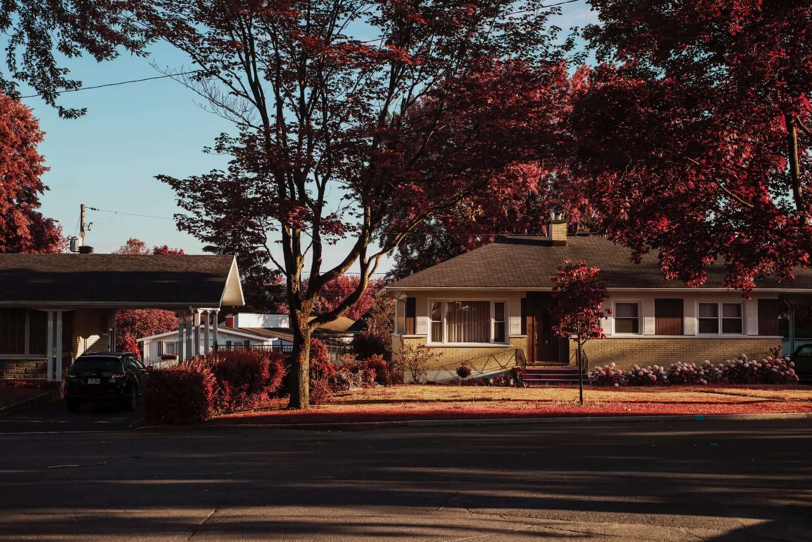 Photo of single-story house on suburban street, trees and hedges with red leaves, and long afternoon shadows